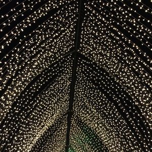 Meet your Posher, Mary sue